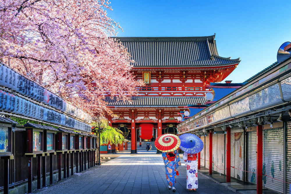 Japan Tour Experiences