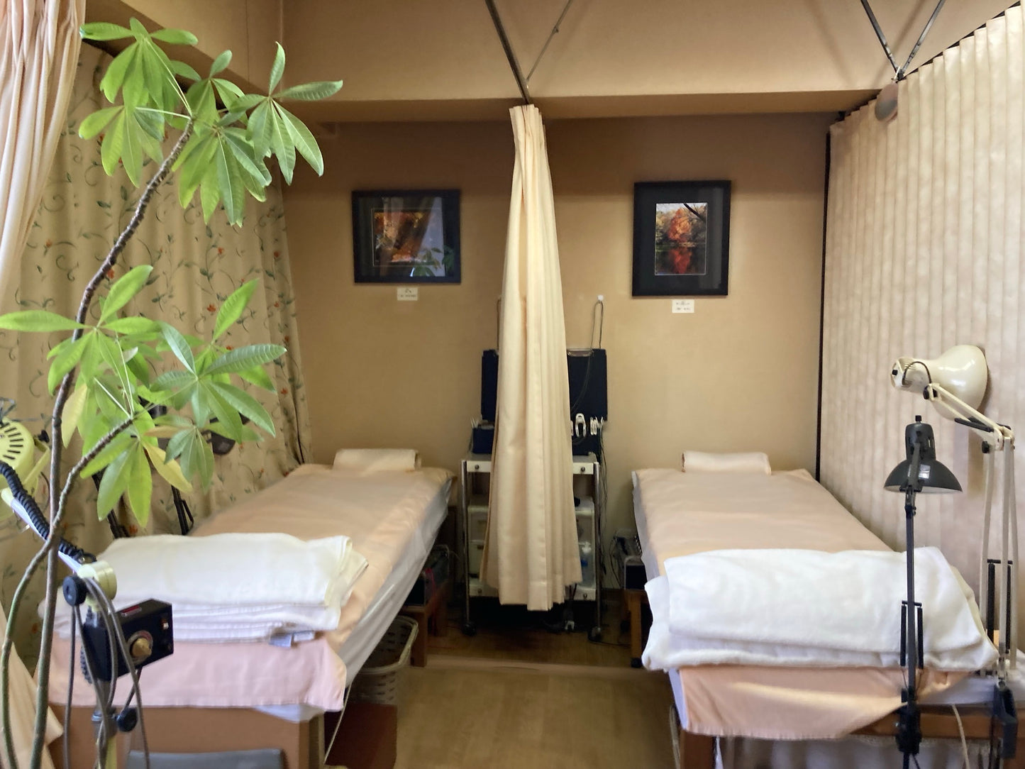 Acupuncture, Electro-Acupuncture & Moxibustion (70 Minutes) in Nagoya