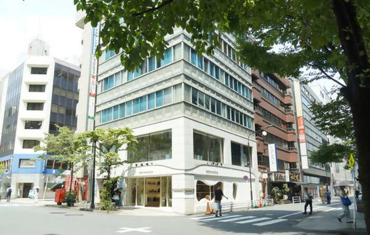 Fatigue Recovery IV Drip